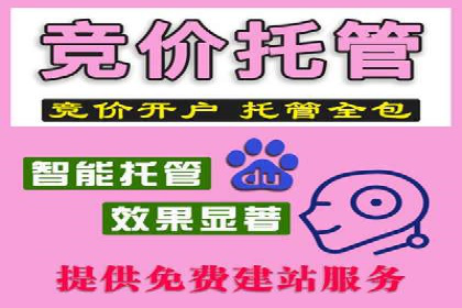 百度竞价账户托管：案例解析与实战技巧